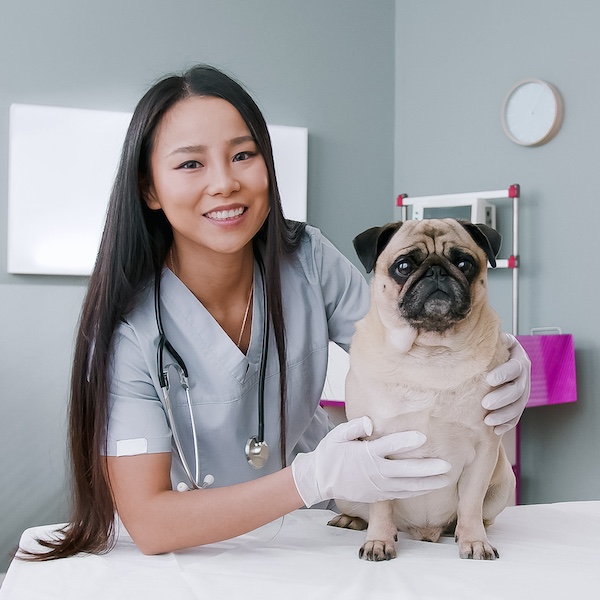 寵物腎病護理及皮下水注射課程
