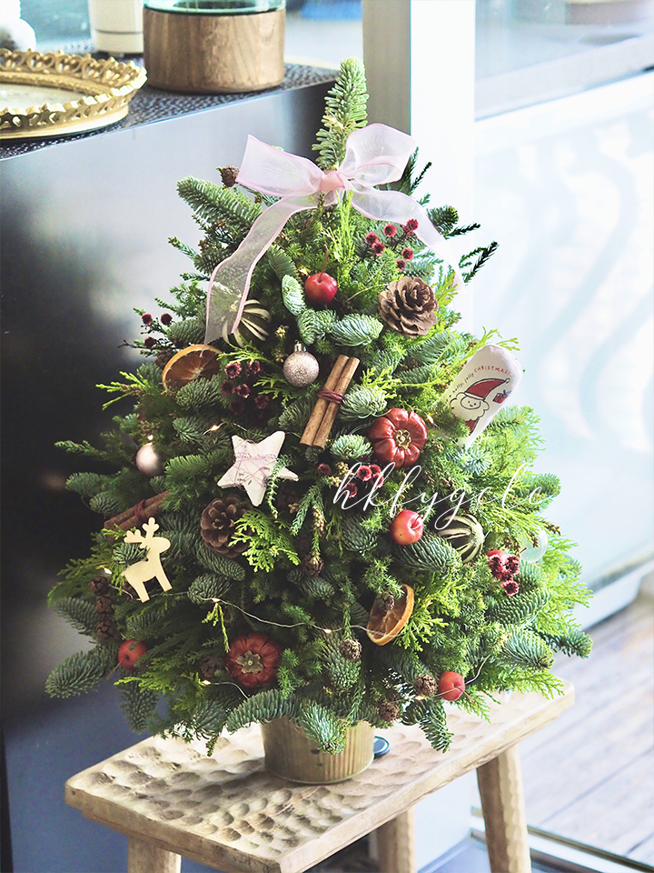 手工貴族松聖誕樹工作坊