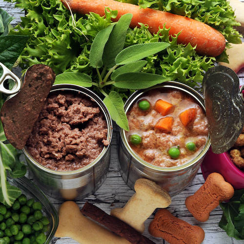 寵物飲食營養證書課程