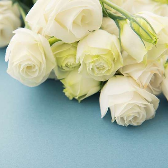 殯儀策劃師培訓課程(第23屆)