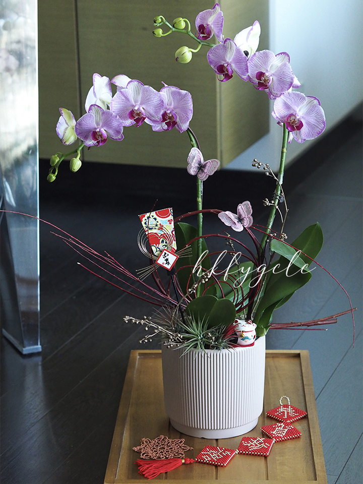 新年蘭花工作坊